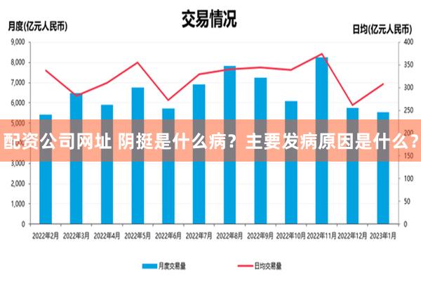 配资公司网址 阴挺是什么病？主要发病原因是什么？