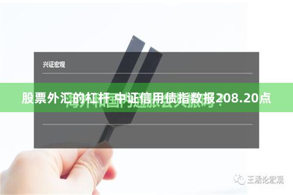 股票外汇的杠杆 中证信用债指数报208.20点