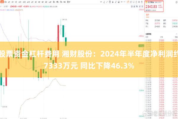 股票资金杠杆费用 湘财股份：2024年半年度净利润约7333万元 同比下降46.3%