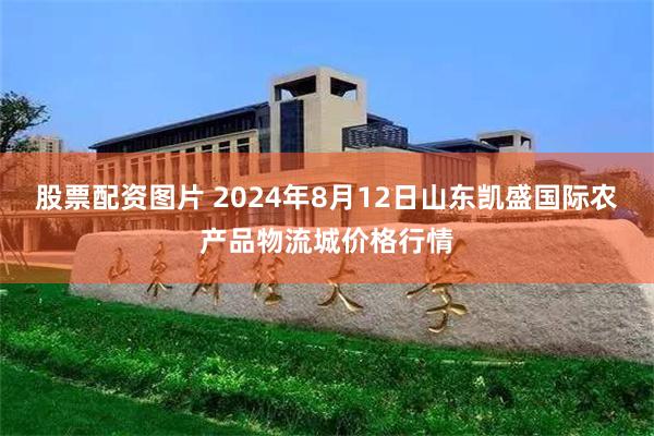 股票配资图片 2024年8月12日山东凯盛国际农产品物流城价格行情