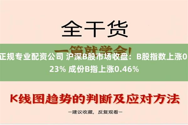 正规专业配资公司 沪深B股市场收盘：B股指数上涨0.23% 成份B指上涨0.46%