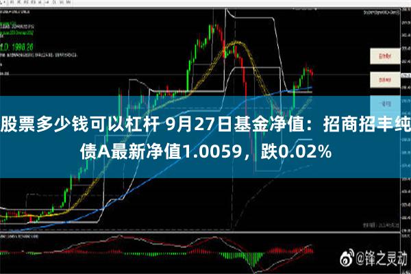 股票多少钱可以杠杆 9月27日基金净值：招商招丰纯债A最新净值1.0059，跌0.02%