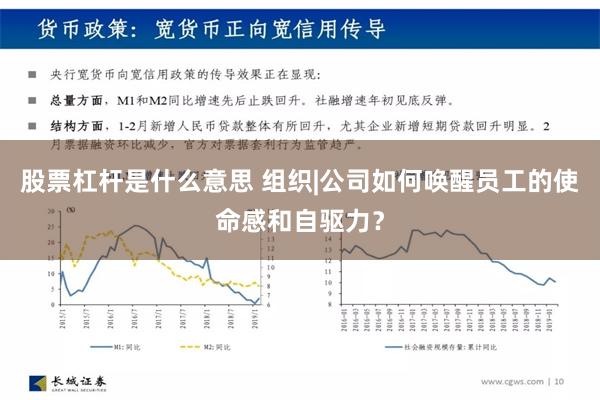 股票杠杆是什么意思 组织|公司如何唤醒员工的使命感和自驱力？