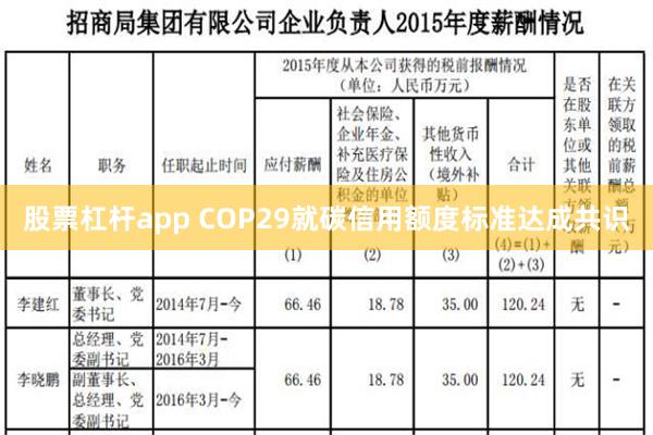 股票杠杆app COP29就碳信用额度标准达成共识