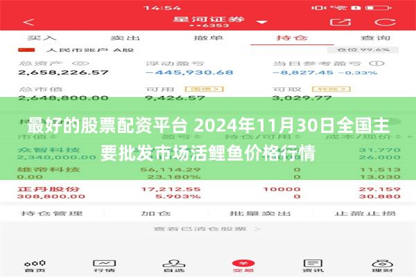 最好的股票配资平台 2024年11月30日全国主要批发市场活鲤鱼价格行情