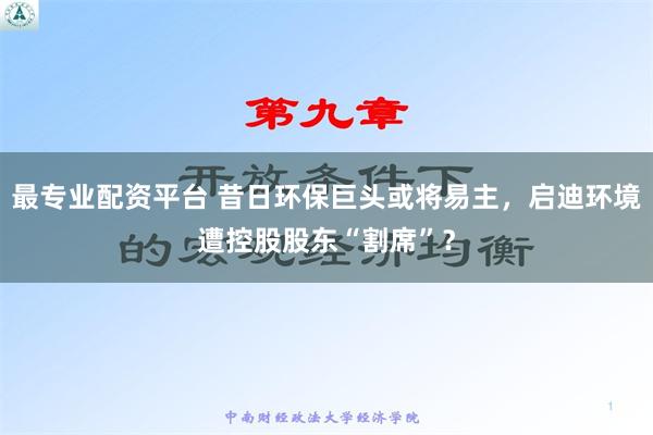 最专业配资平台 昔日环保巨头或将易主，启迪环境遭控股股东“割席”？