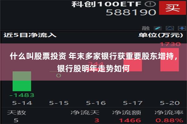 什么叫股票投资 年末多家银行获重要股东增持，银行股明年走势如何