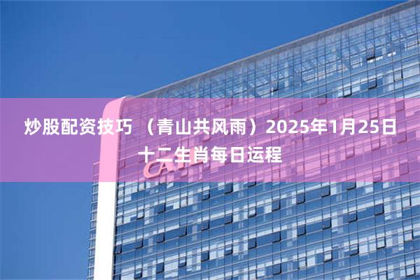 炒股配资技巧 （青山共风雨）2025年1月25日十二生肖每日运程