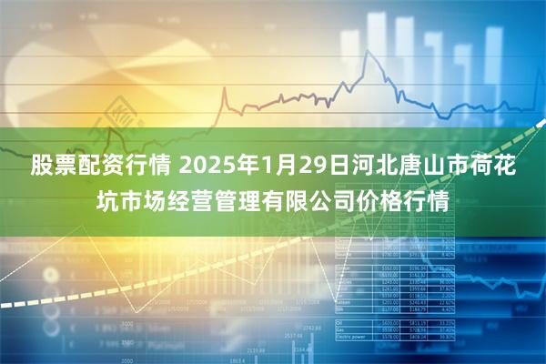 股票配资行情 2025年1月29日河北唐山市荷花坑市场经营管理有限公司价格行情